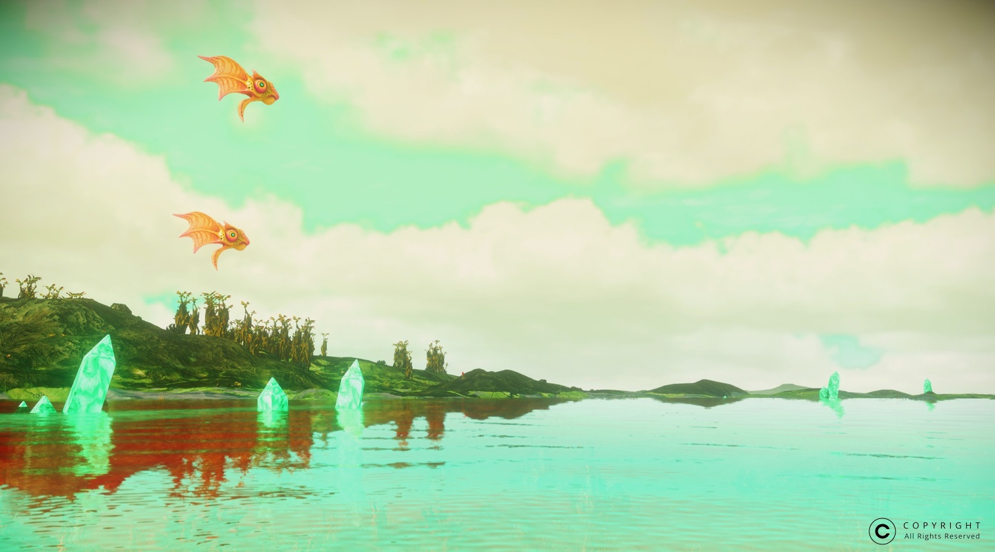 NMS Gameo 0022