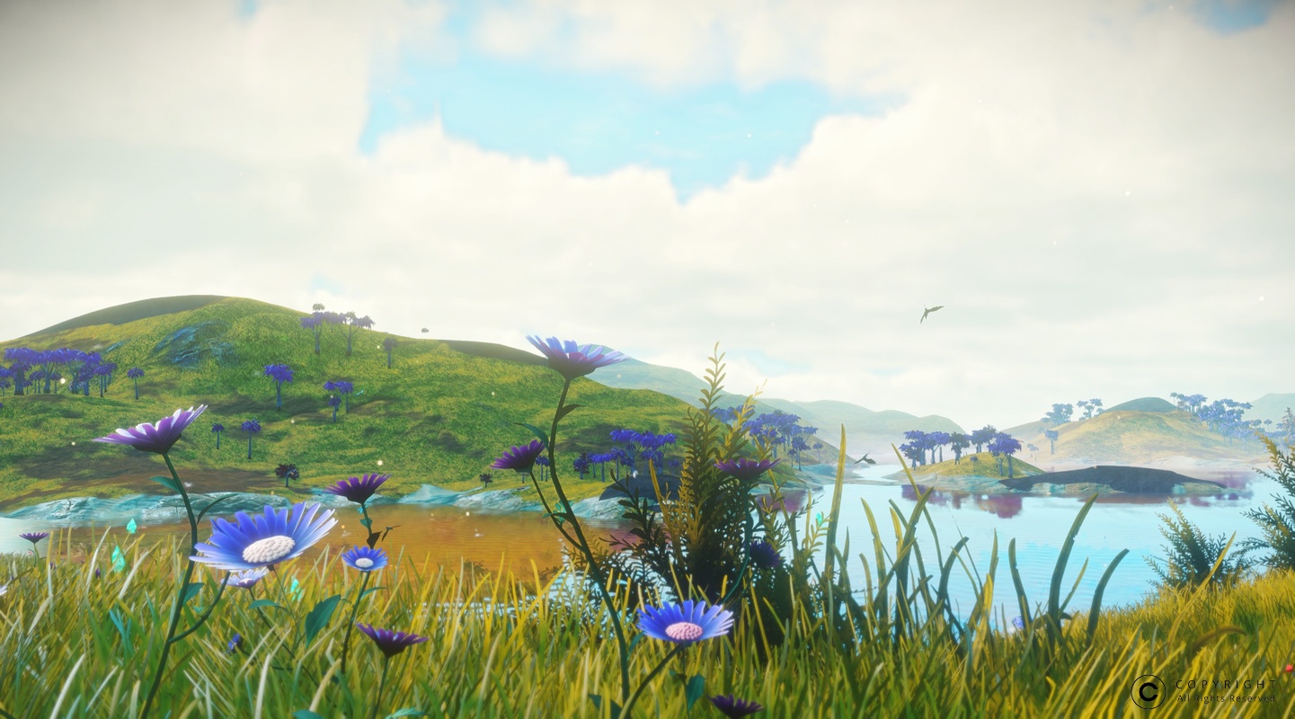 NMS NaucrQ31 0005