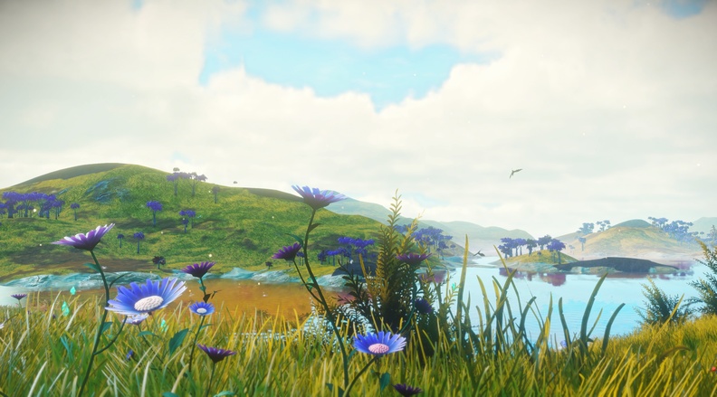 NMS_NaucrQ31_0005.jpg