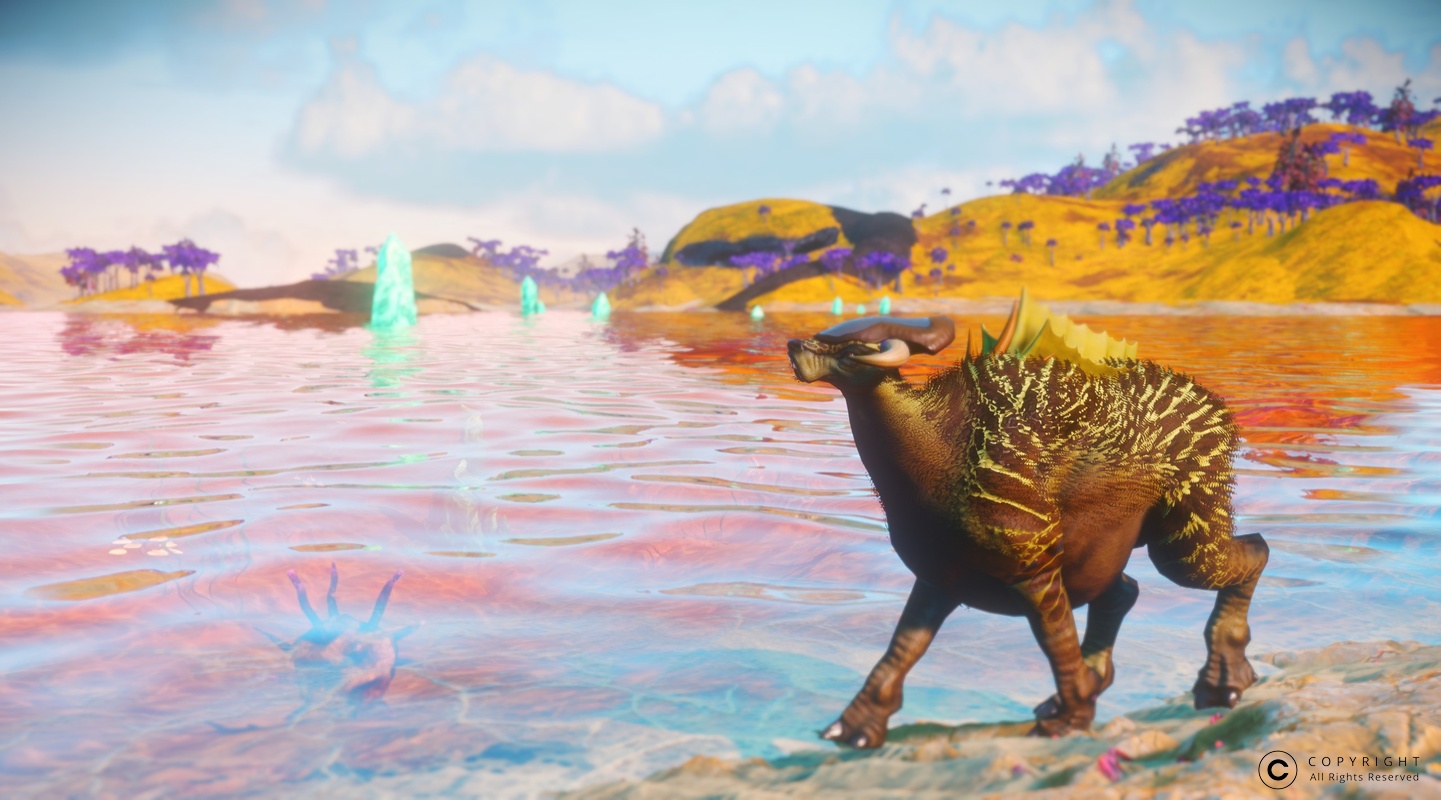 NMS NaucrQ31 0011
