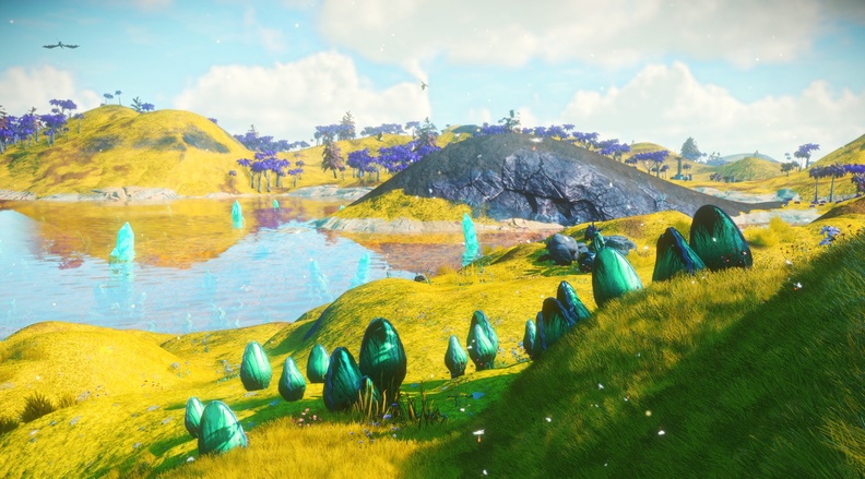 NMS_NaucrQ31_0015.jpg