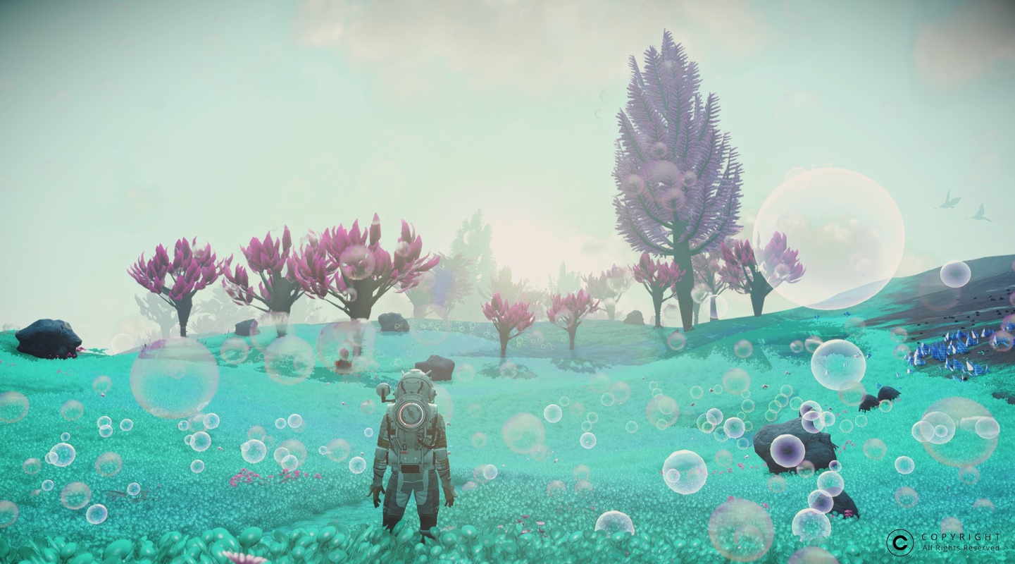 NMS RecadinXIII 0002