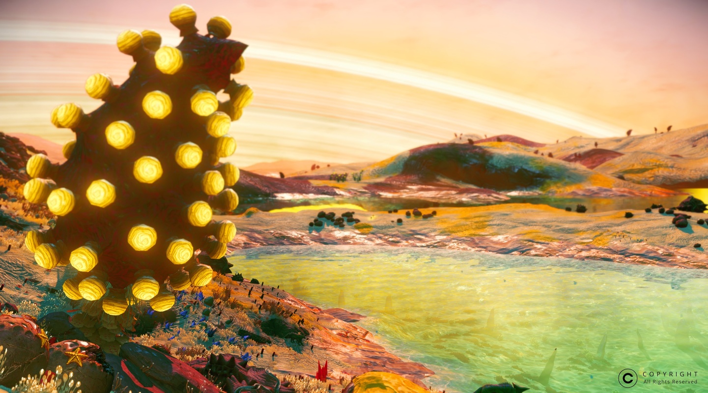 NMS UrborVI 0009