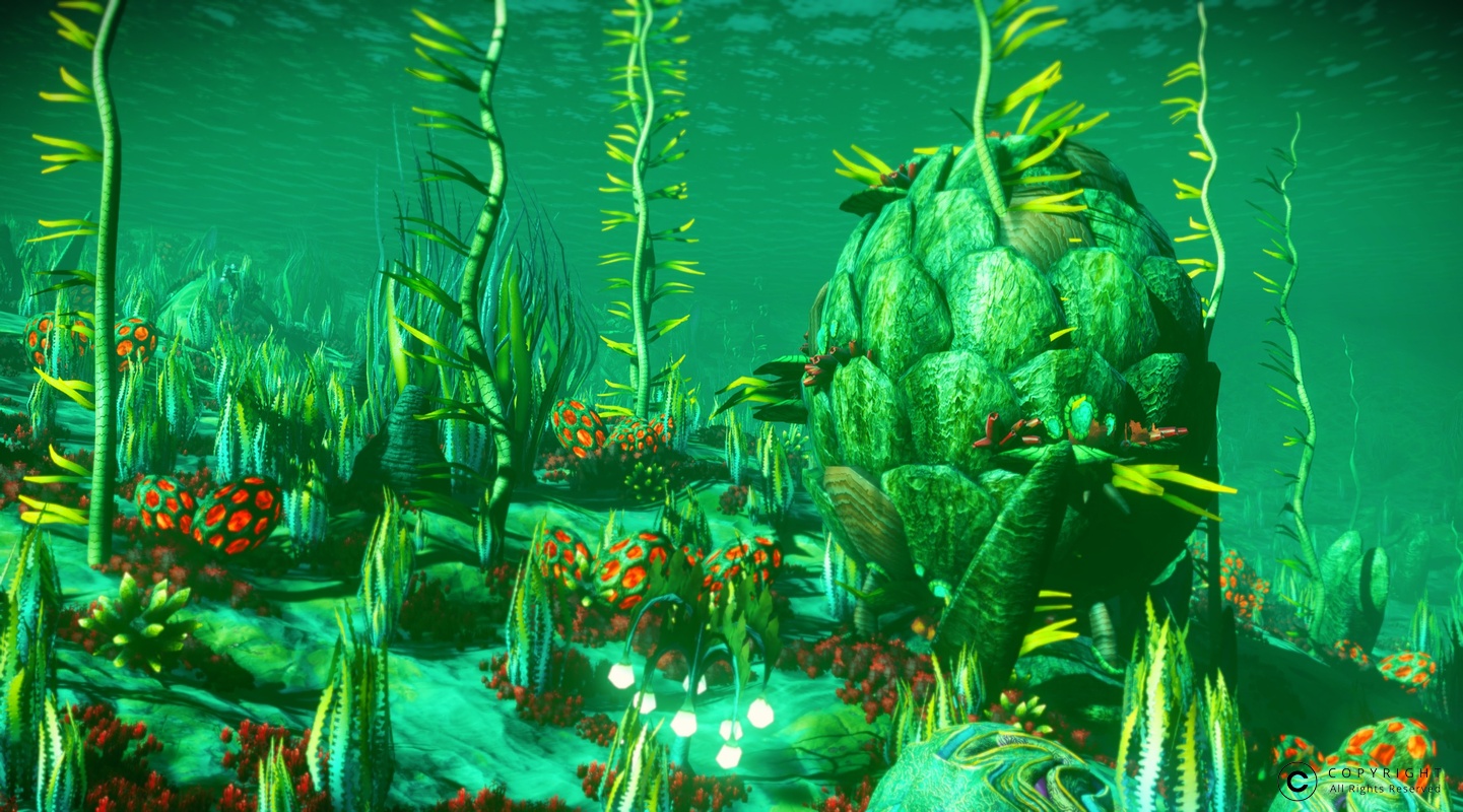 NMS UrborVI 0016