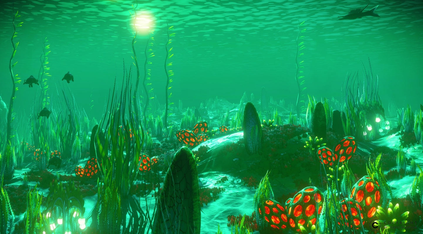 NMS UrborVI 0018