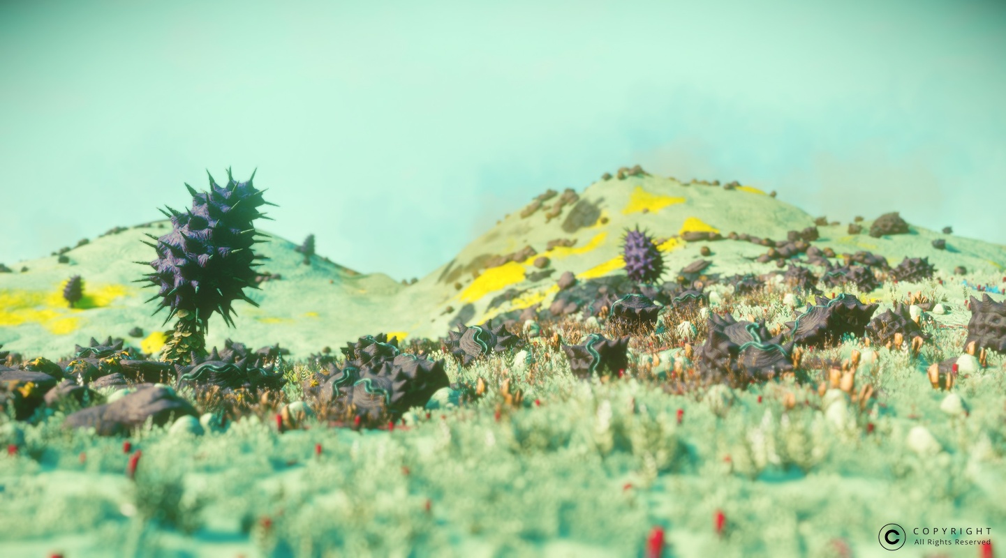 NMS UrborVI 0030
