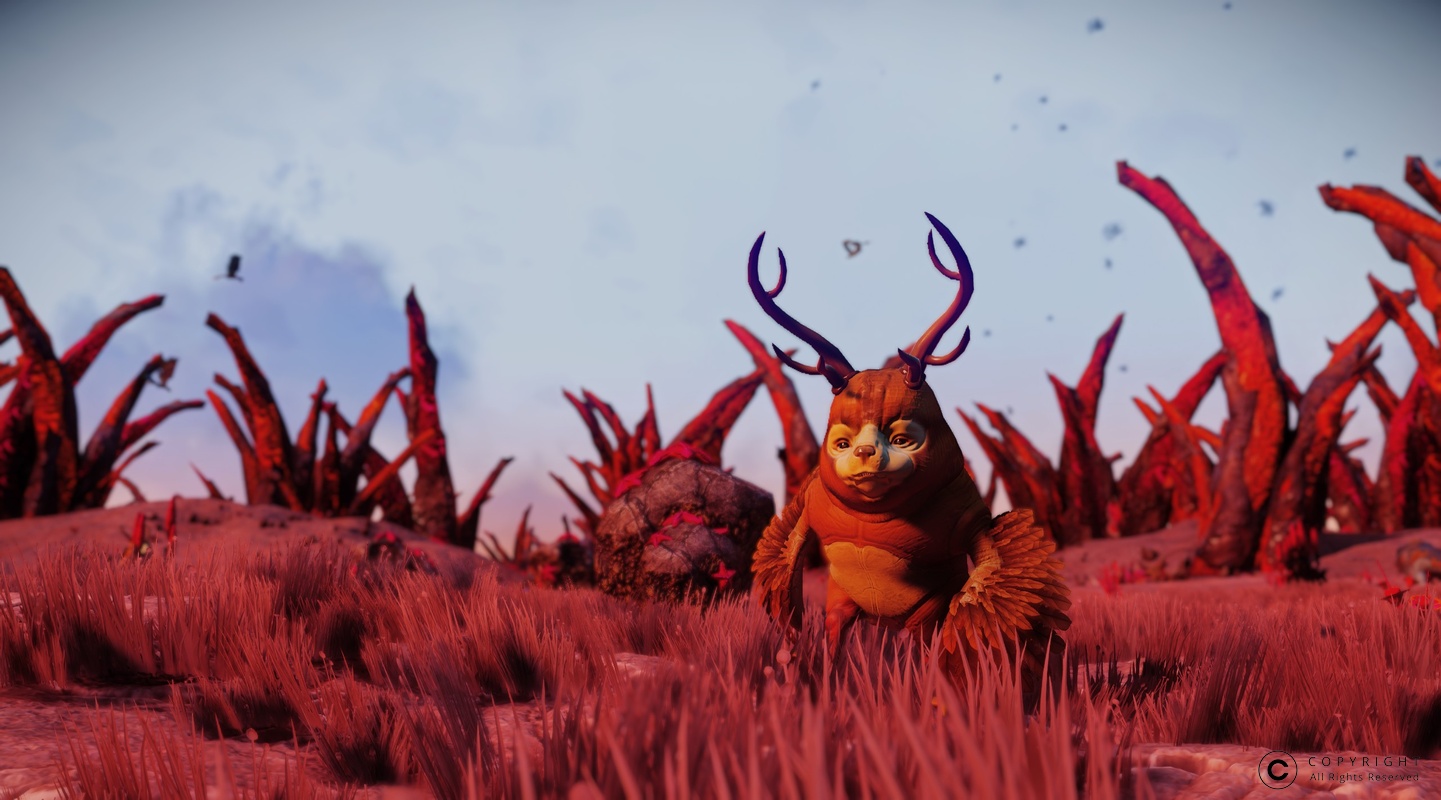 NMS Yanshe 0001