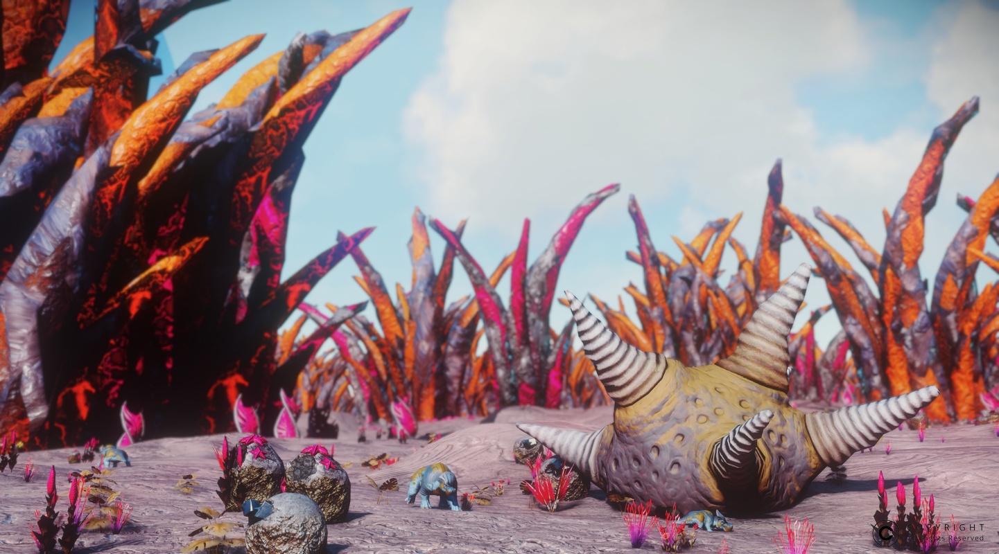 NMS Yanshe 0004
