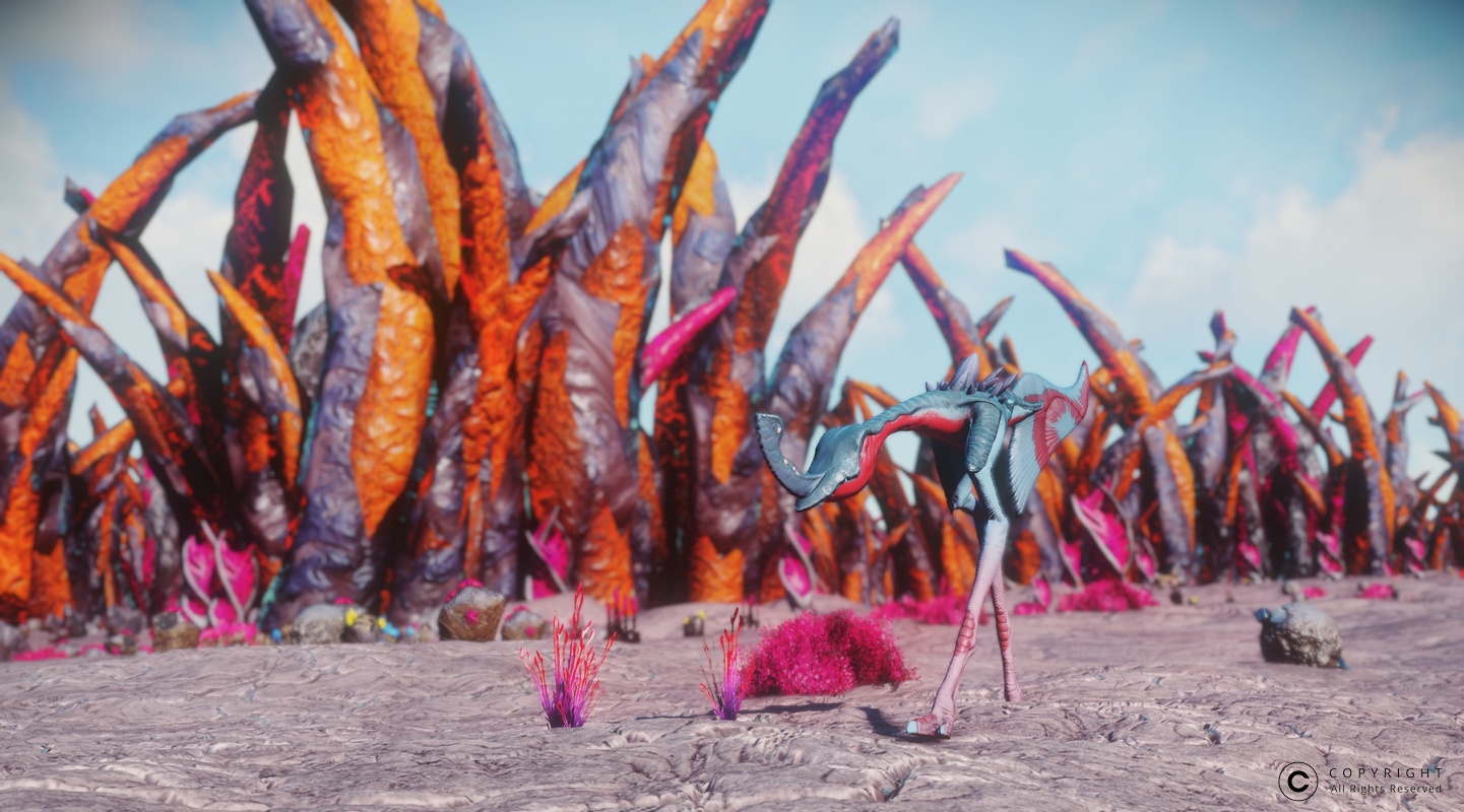 NMS Yanshe 0007