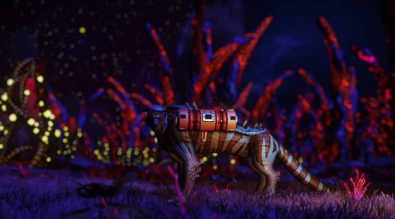 NMS_Yanshe_0015.jpg