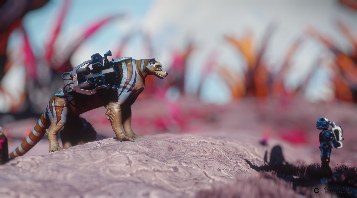 NMS Yanshe 0014