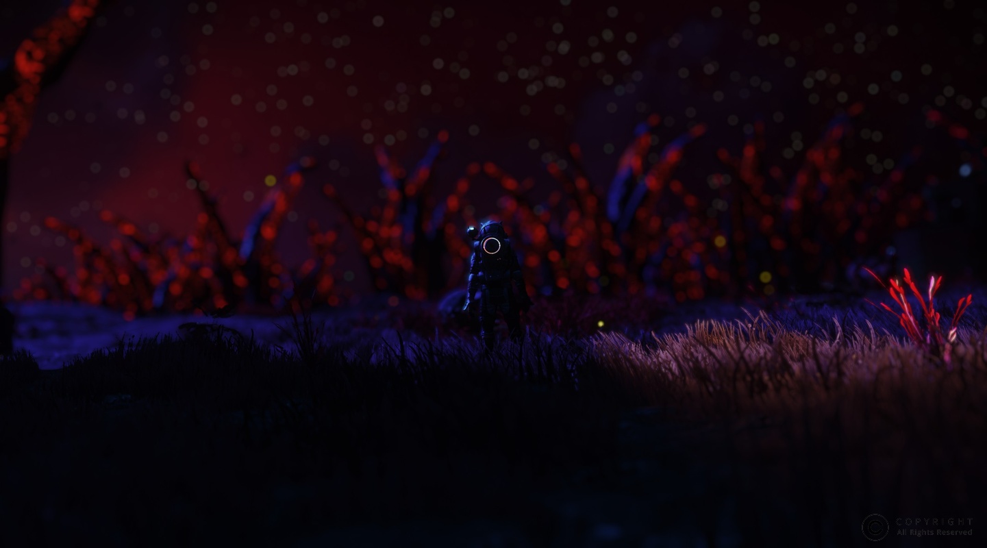 NMS 2024
