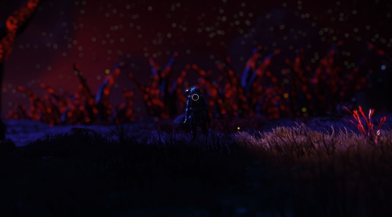 NMS_Yanshe_0020.jpg