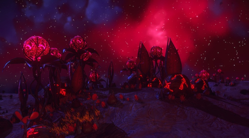NMS_RirenXIII_0002.jpg