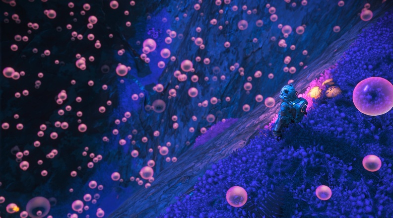 NMS_SoinolaVI_0003.jpg