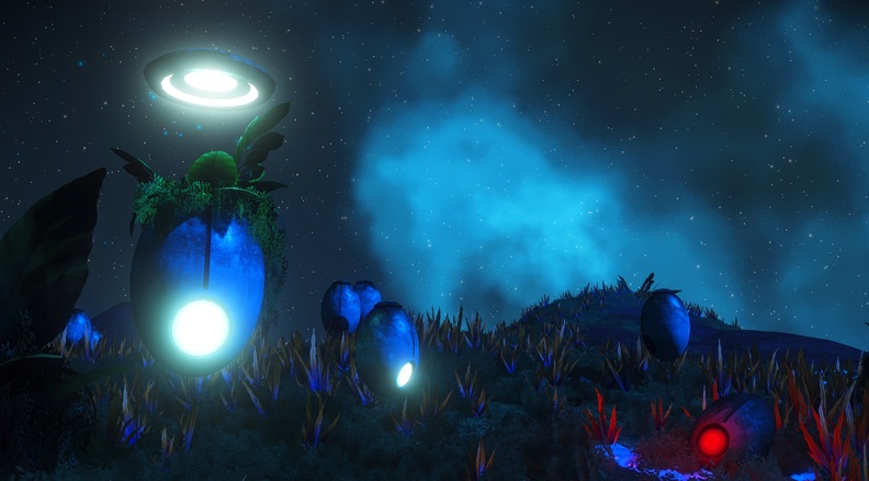 NMS_Hulos_0009.jpg