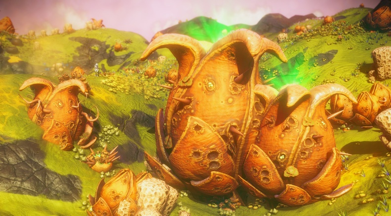 NMS_Aytosishwo_0009.jpg
