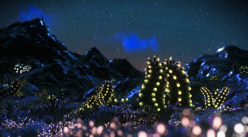 NMS_Potiasu_0012.jpg