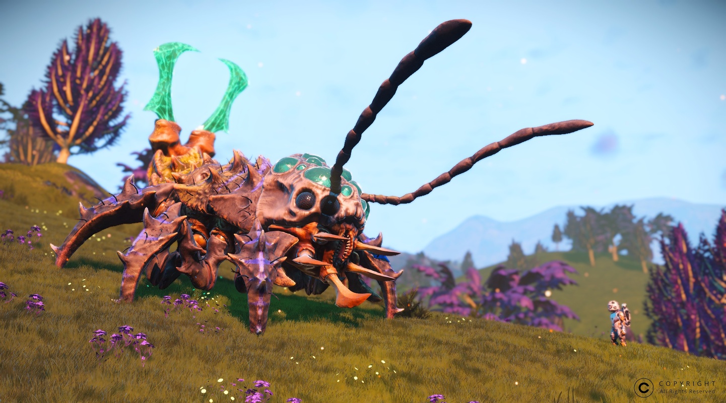 NMS Abylonne 0006