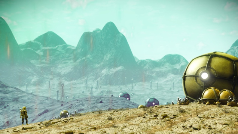NMS_Nuwaii_0002.jpg