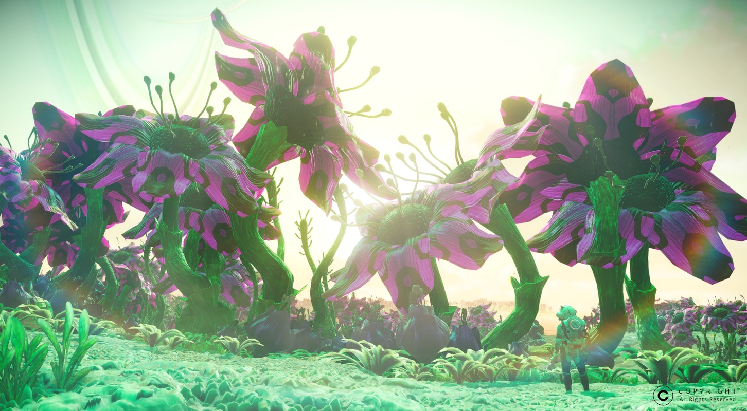 NMS Baphni-Alpha 0002