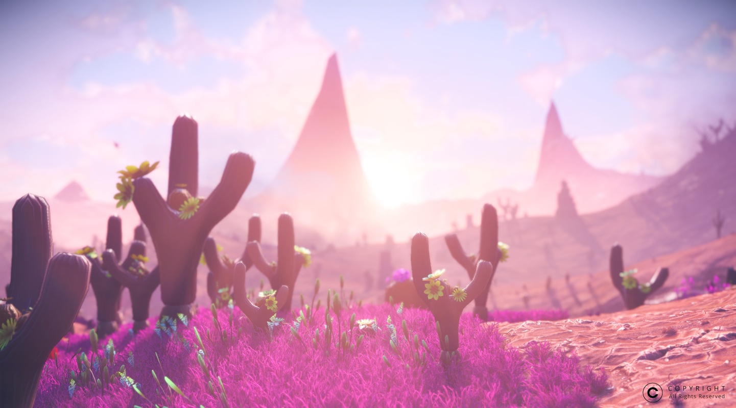 NMS Bula-Numa 0003
