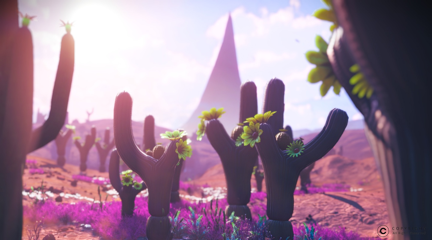 NMS Bula-Numa 0008