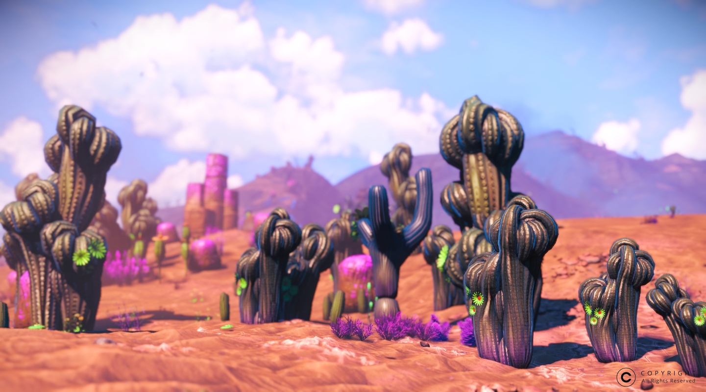 NMS Bula-Numa 0009