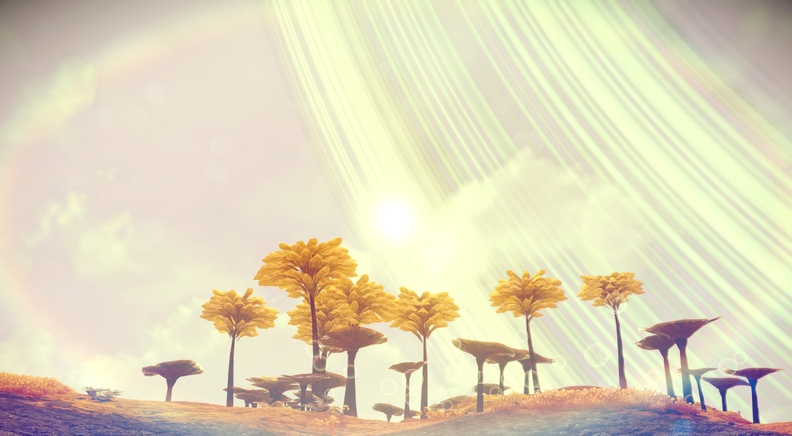 NMS_Gaelandie-Enta_0005.jpg
