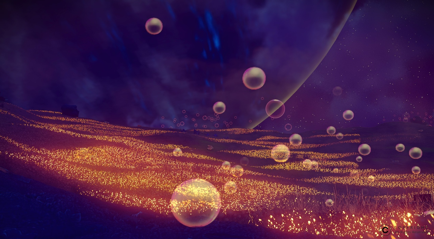 NMS Gaelandie-Enta 0004