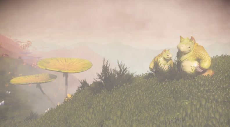 NMS_Lill_0005.jpg