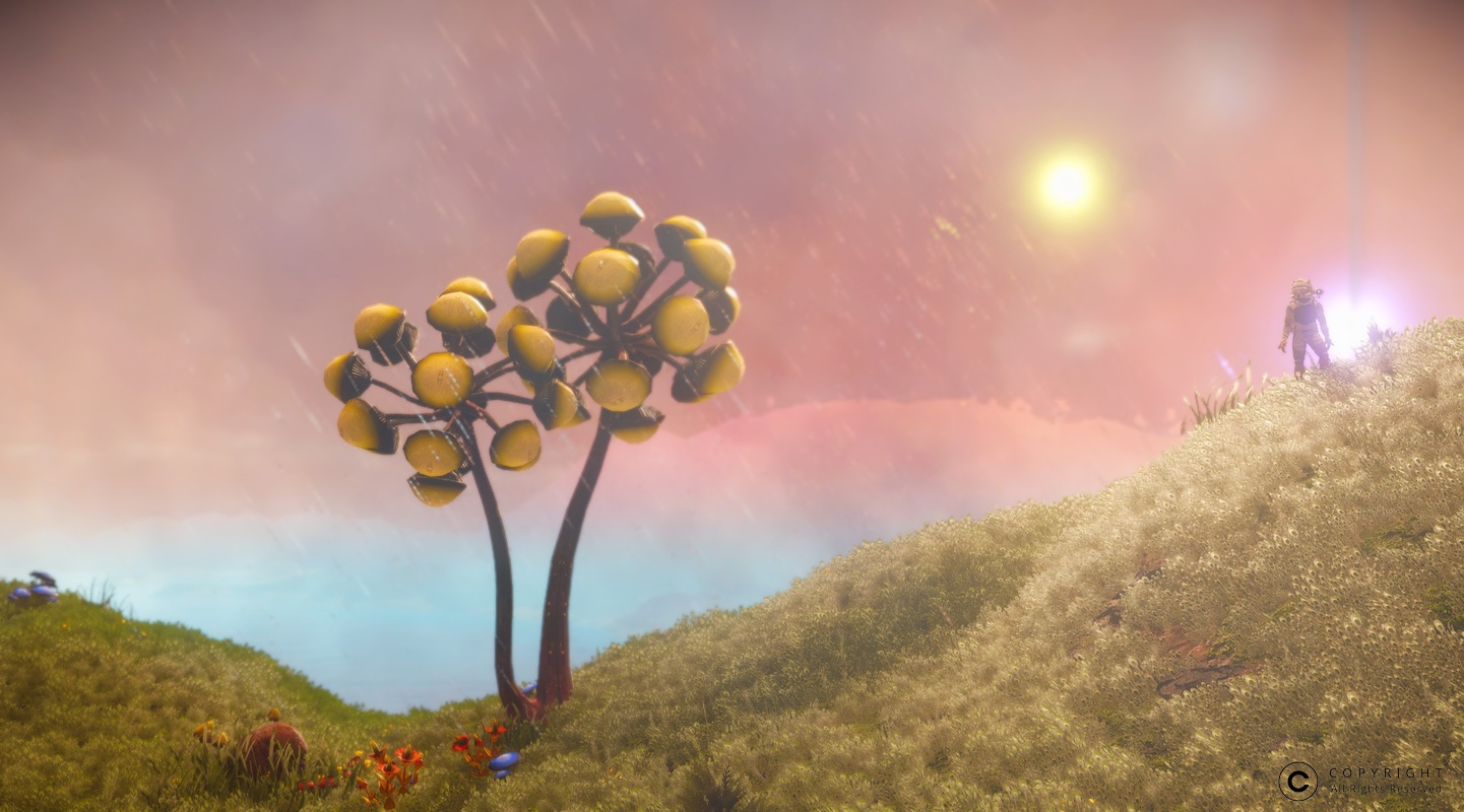 NMS Lill 0007