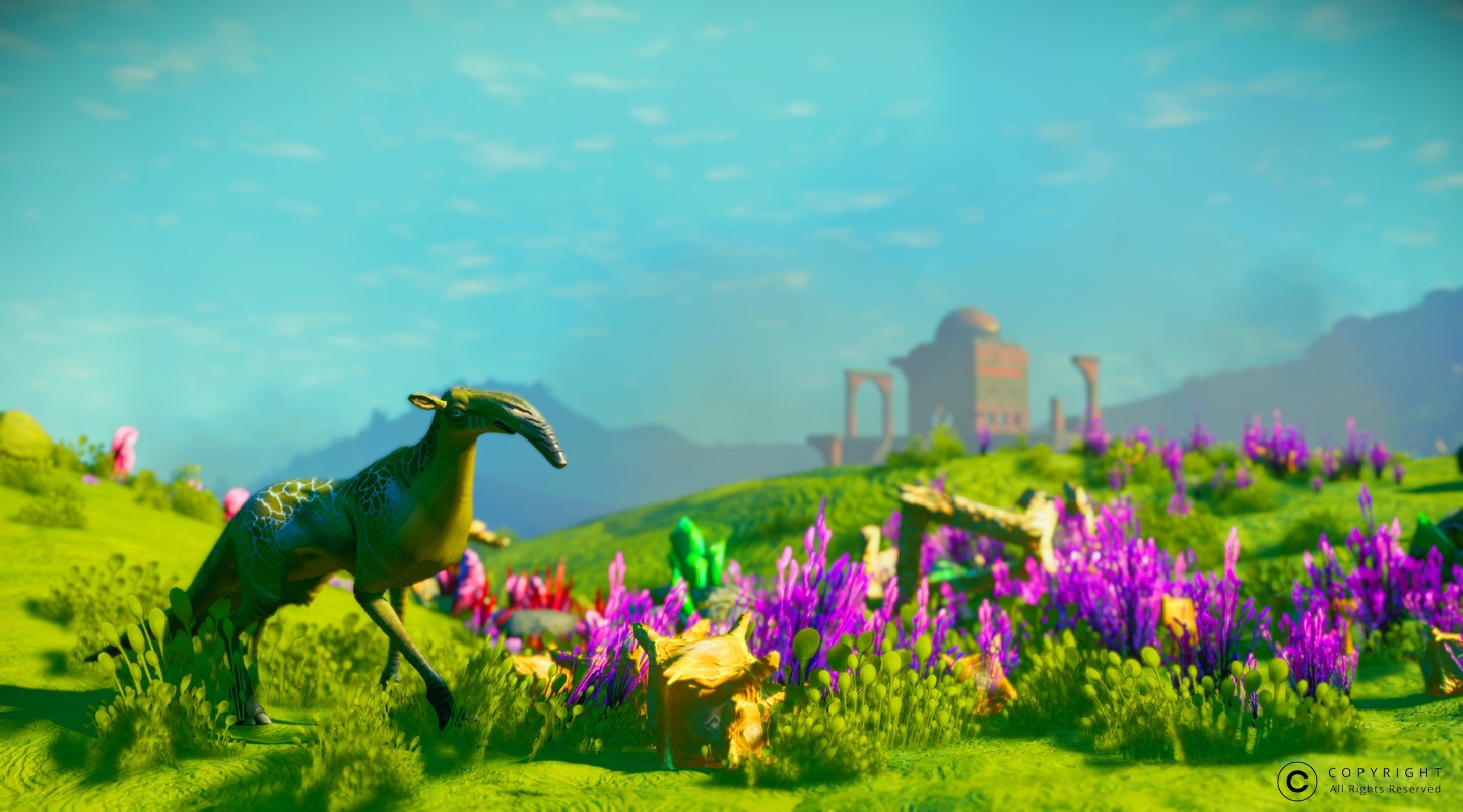 NMS Pihyrasi 0007
