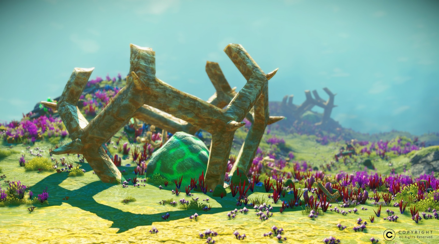 NMS Pihyrasi 0010