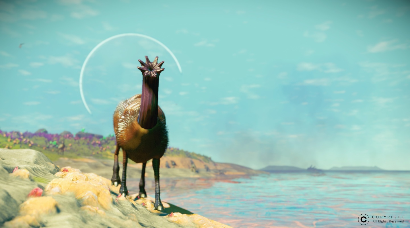 NMS Pihyrasi 0014