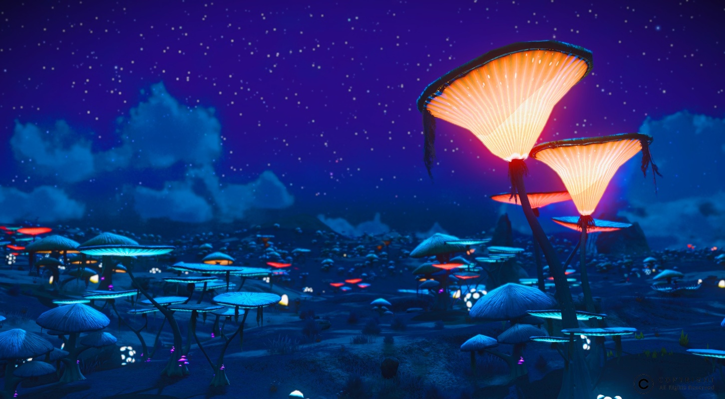 NMS Wamikk 0006