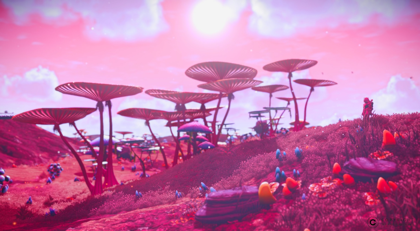 NMS Wamikk 0010