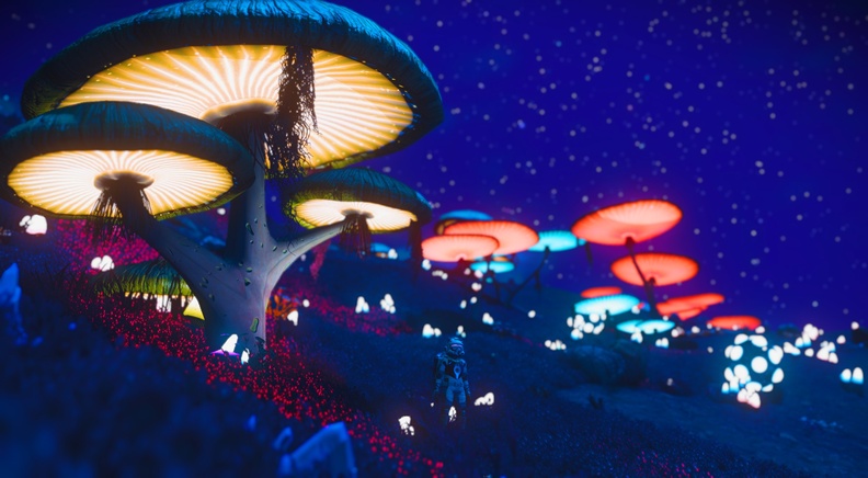 NMS_Wamikkl_0001.jpg