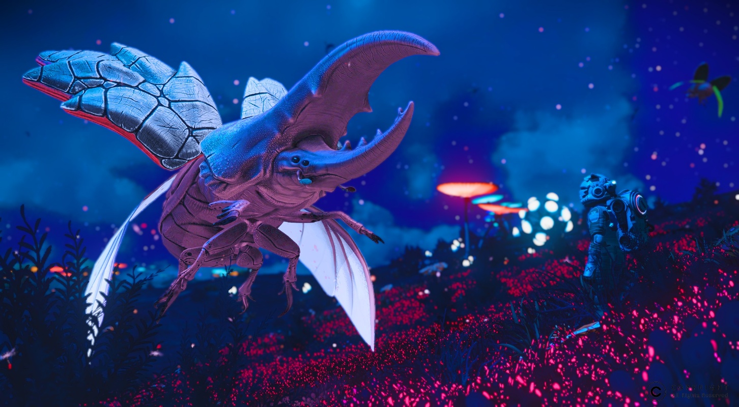 NMS Wamikkl 0004
