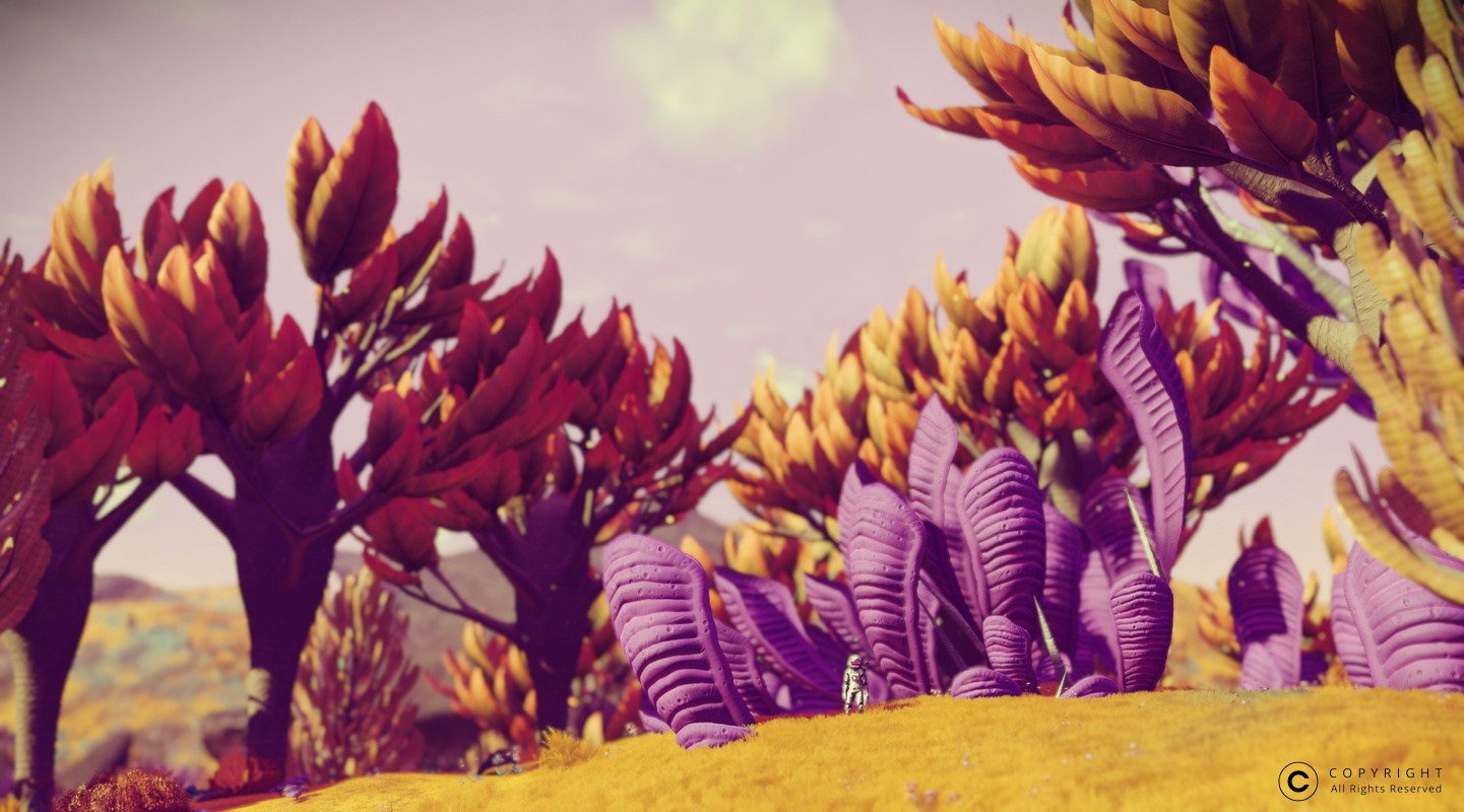 NMS Iffany-Ogori 0002