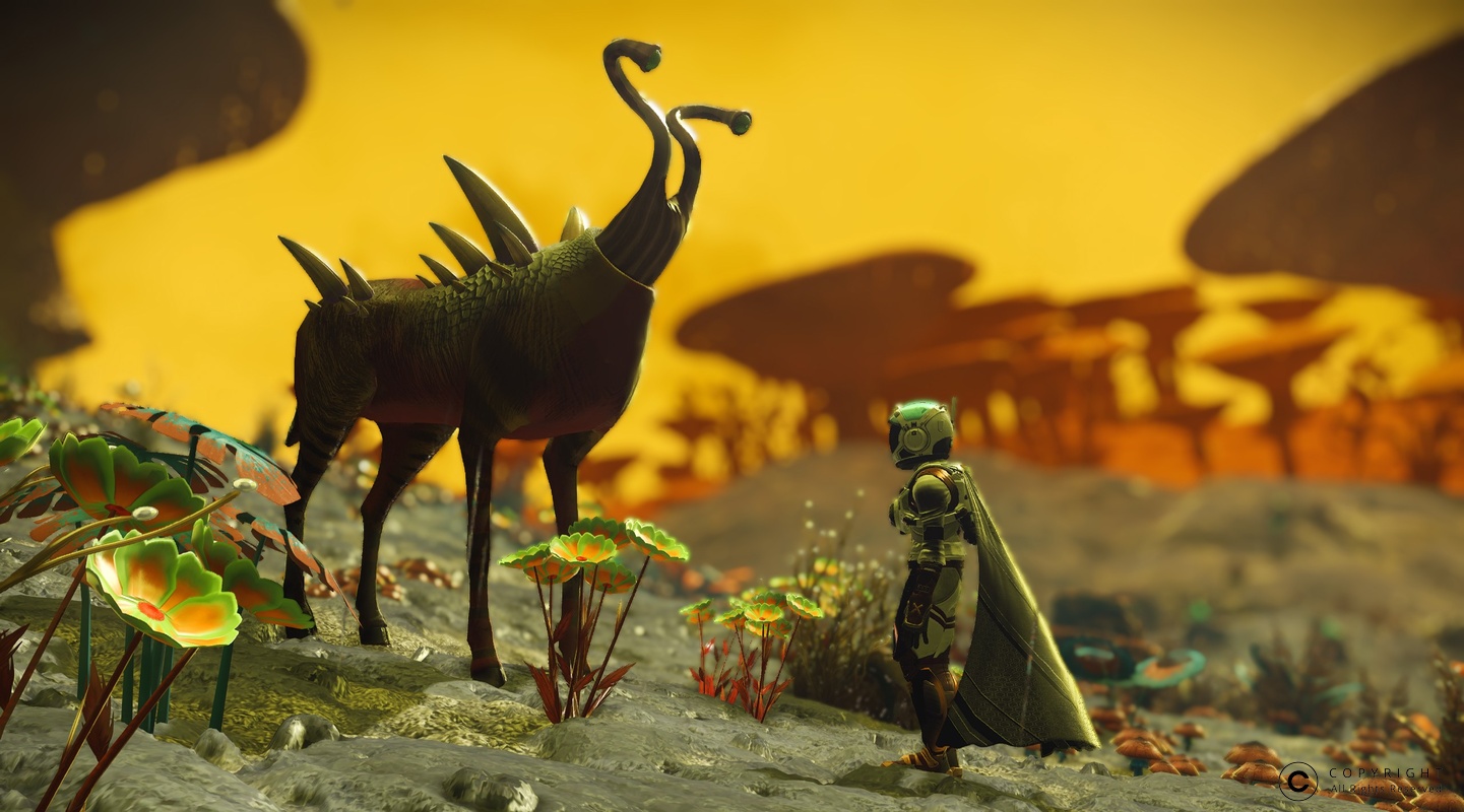 NMS Algield-II 0002