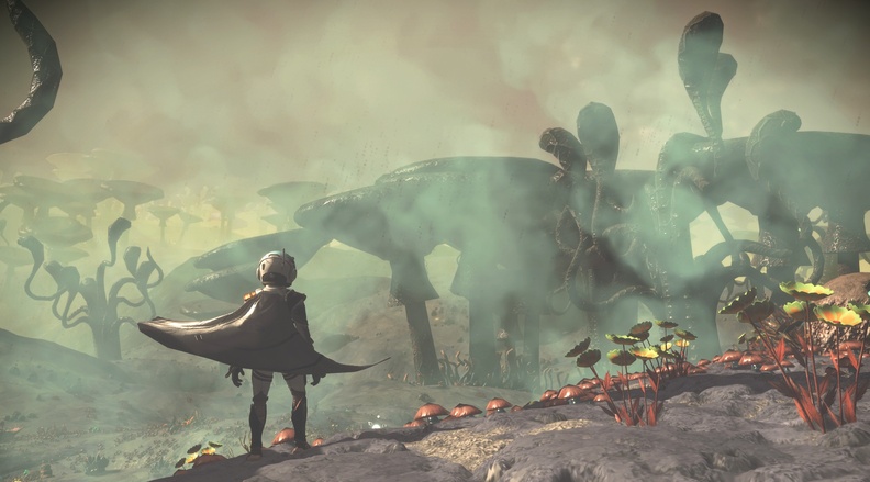 NMS_Algield-II_0008.jpg