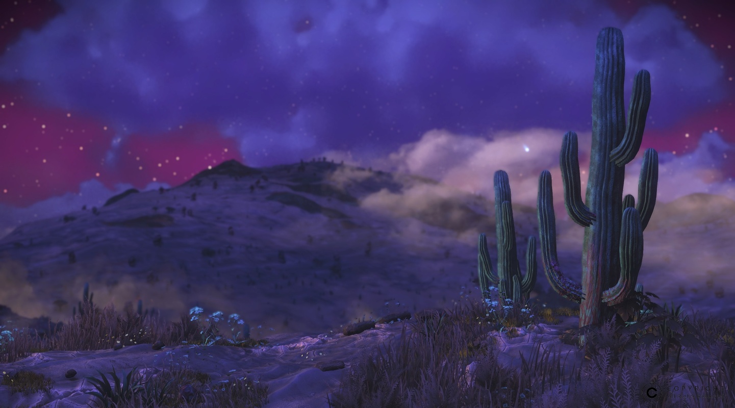 NMS Atler-XVII 0002