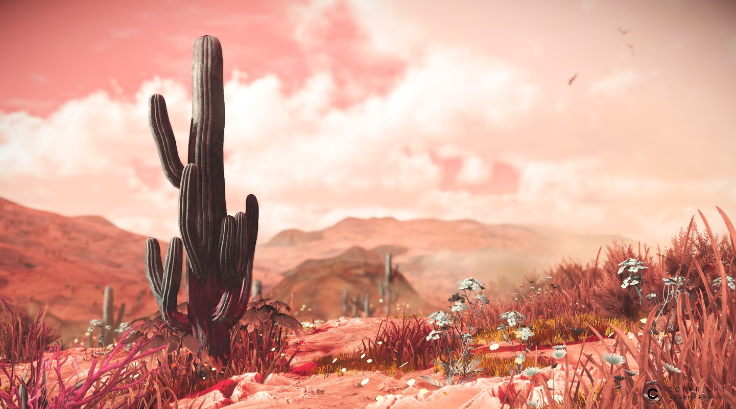 NMS Atler-XVII 0008