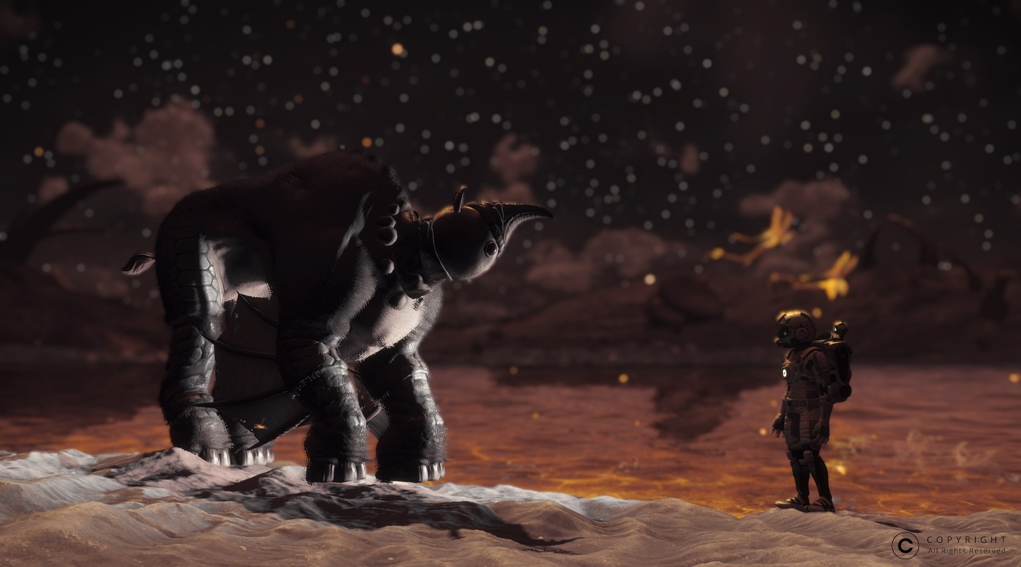 NMS Bideforc 0002