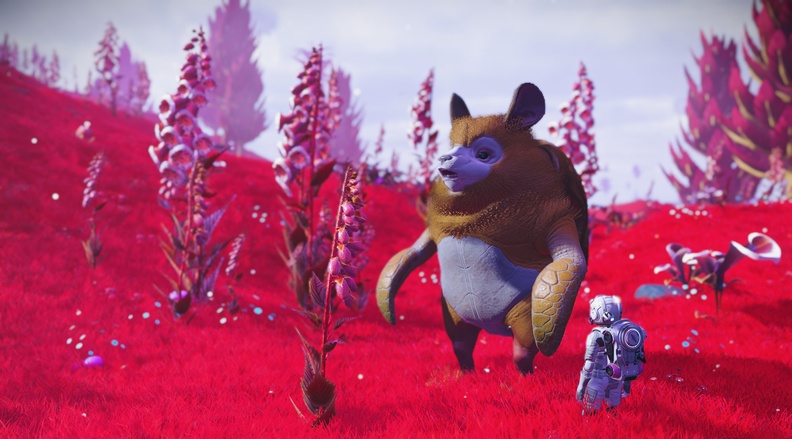 NMS_Cidr-Gamma_0011.jpg