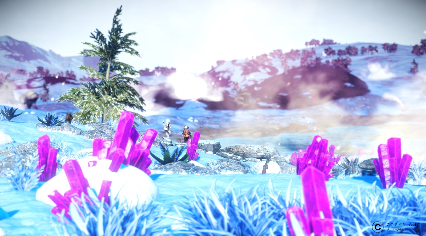 NMS Habian 0010