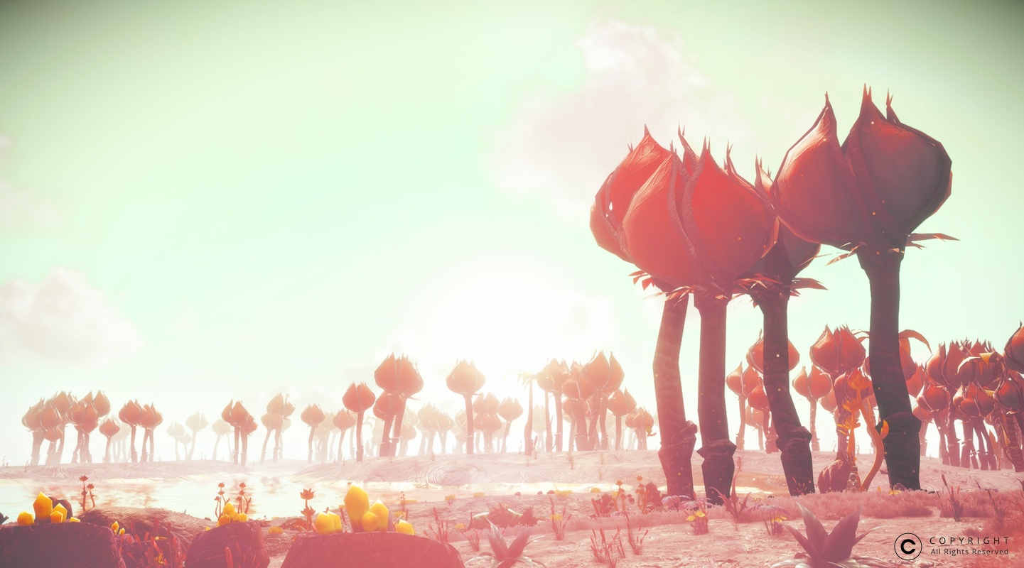 NMS Lemundroit-Ugin 0009