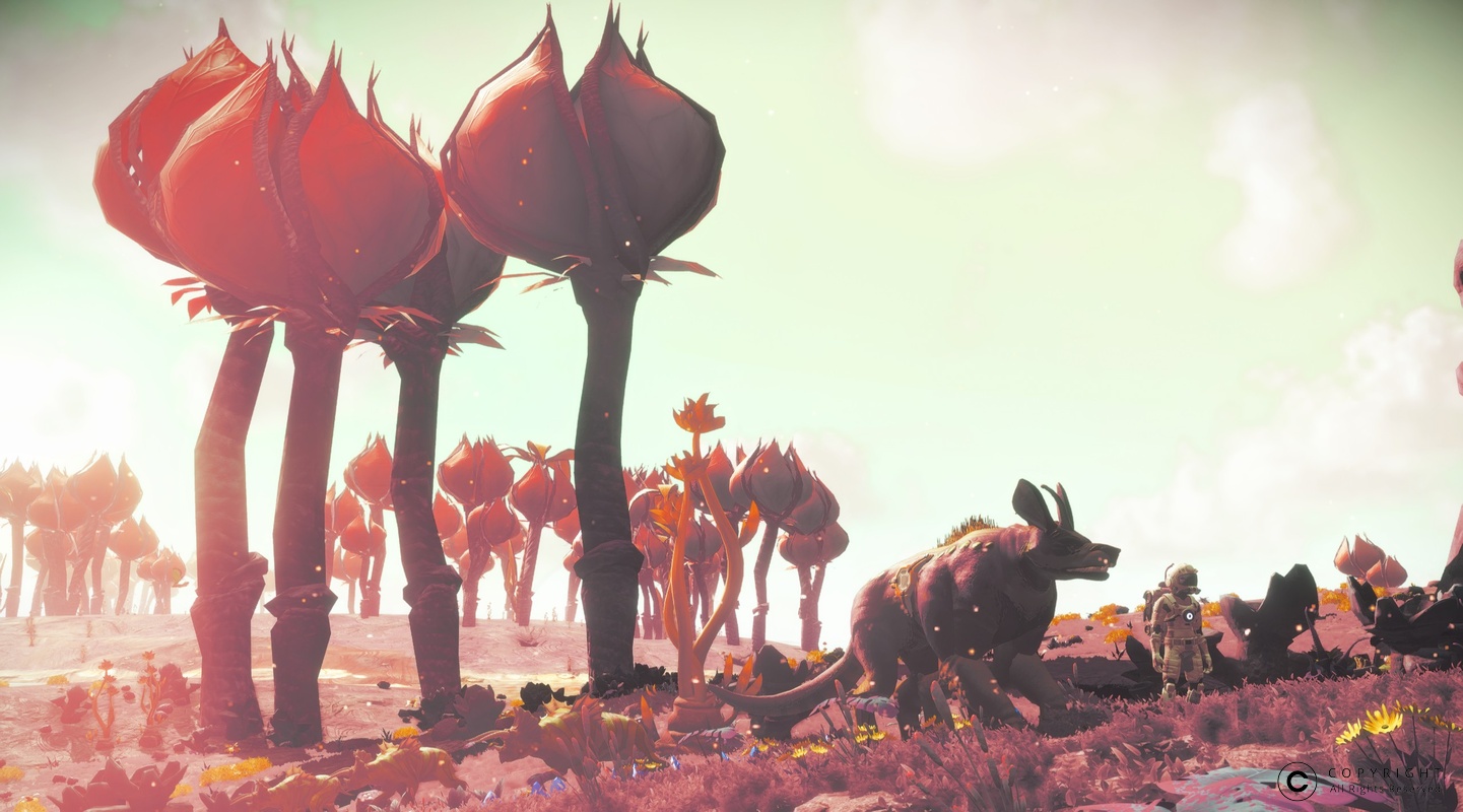 NMS Lemundroit-Ugin 0006