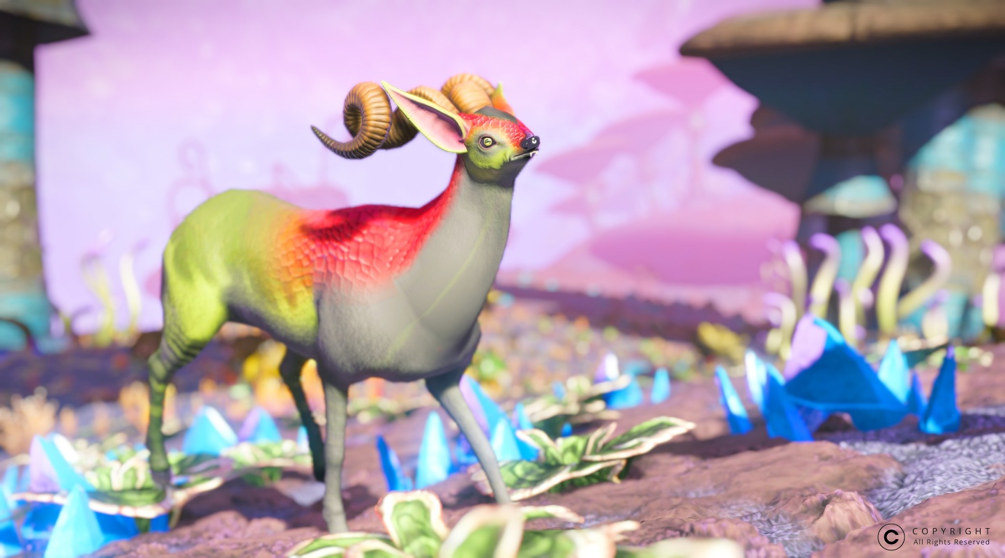 NMS Michedg-XVII 0006